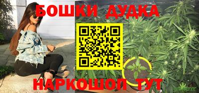 ПСИЛОЦИБИНОВЫЕ ГРИБЫ Гусев