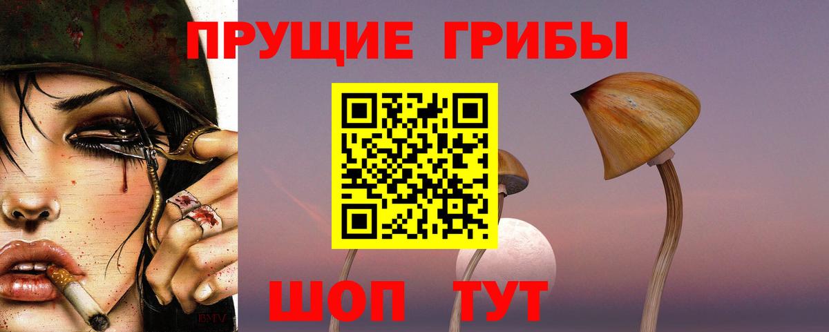 Галлюциногенные грибы GOLDEN TEACHER  Вход с VPN  Озёры 
