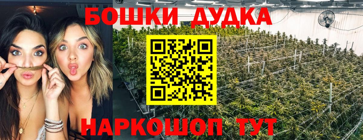 Каннабис Amnesia  Вход с VPN  Озёры  Марихуана планчик  Канабис VHQ 